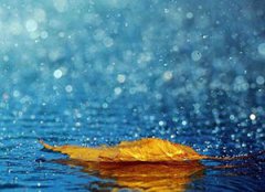 女人夢見下雨打傘是什么預兆