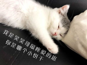 千璽的貓叫什么名字