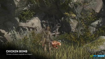 古墓麗影卡片有什么用