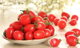 圣女果怎么保存