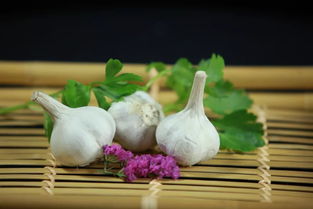 天下第一蒜在哪里