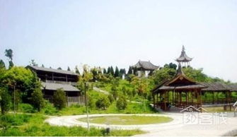 崇明島有什么好玩的