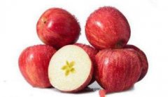 智利產什么水果