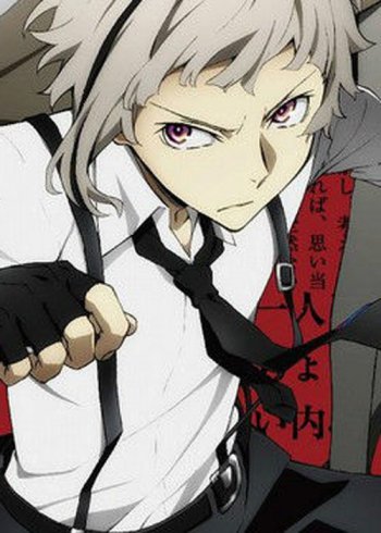 文豪野犬是耽美嗎