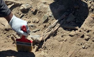 伊拉克有流沙河嗎