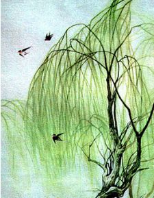 詠柳贊美了什么