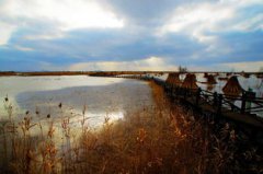 崇明島面積多少平方公里