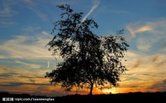 朝霞對什么晚霞對什么