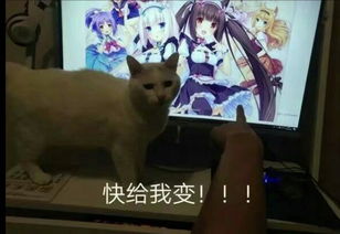 抖音伊拉克成色是什么梗