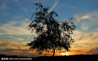 朝霞對(duì)什么晚霞對(duì)什么