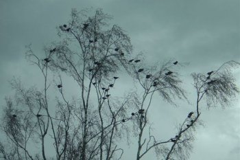 夢(mèng)見(jiàn)下雨路上好多水什么意思