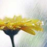 夢見下雨了是什么意思