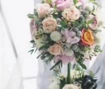 永生花花語是什么