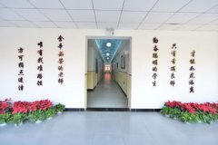 中關村外國語學校如何