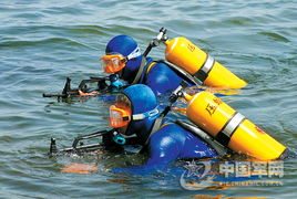 夢見蛟龍入海是什么意思