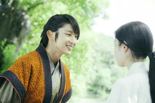 步步驚心麗有第二部嗎