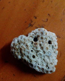 沙丁珊瑚有收藏價值嗎