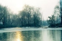 濟南的冬天表達了作者怎樣的思想感情