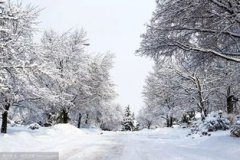 濟南的冬天講了什么