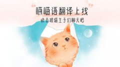 火箭隊的貓叫什么