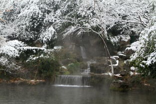 濟南的冬天體裁是什么