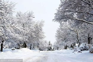 濟南的冬天講了什么