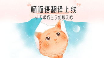 火箭隊的貓叫什么