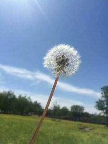 一朵云一個閃電是什么天氣