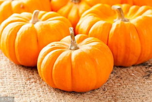 南瓜是碳水化合物嗎