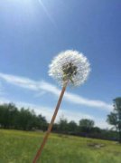 一朵云一個閃電是什么天氣