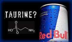 牛磺酸是什么東西