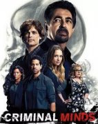 犯罪心理更新到第幾季