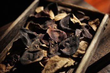 沙糖桔皮可以做陳皮嗎