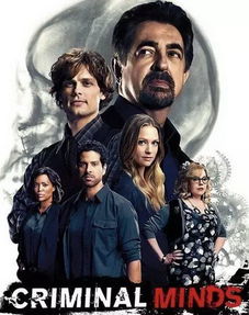 犯罪心理更新到第幾季