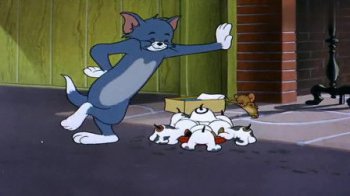 貓和老鼠的狗叫什么