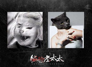 貓臉老太太是什么