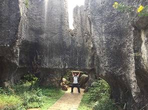 玉溪到普者黑有多遠