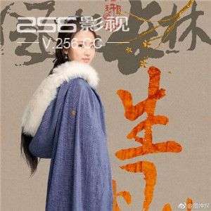 瑯琊榜2一共有多少集