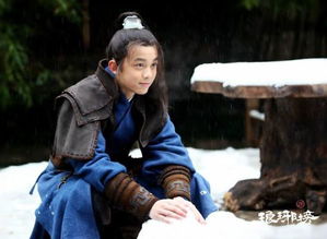 瑯琊榜飛流怎么死的