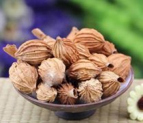 砂仁和什么相克