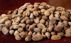 砂仁有什么功效