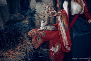 白狐女人有什么意思