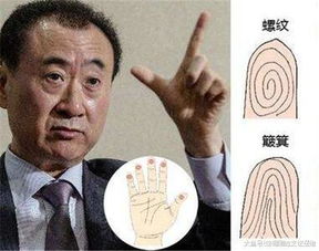 男人十個簸箕代表什么