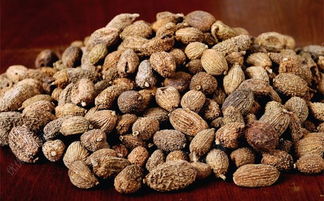 砂仁有什么功效