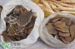 穿山甲下奶效果好嗎