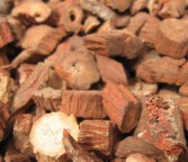 紫丹參和丹參的區別