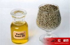 紫蘇籽油和亞麻籽油哪個好