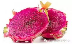 紅心火龍果是染色的嗎
