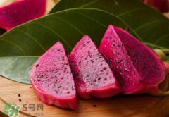 紅心火龍果能放冰箱嗎