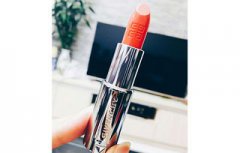 紀梵希306是什么顏色